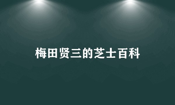 梅田贤三的芝士百科