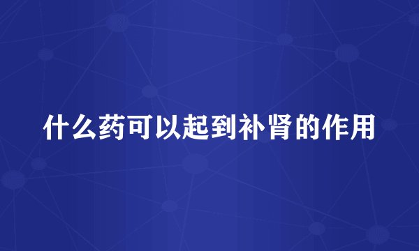 什么药可以起到补肾的作用