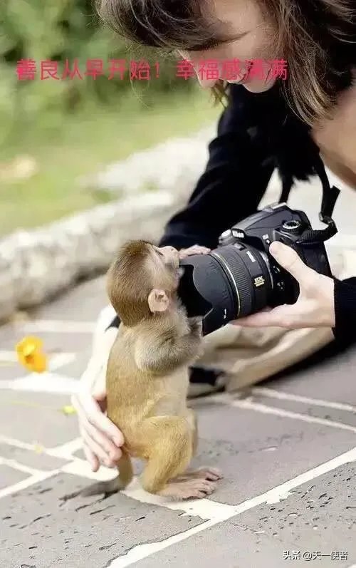 美国呼吁海外公民尽快回国，你如何看待？