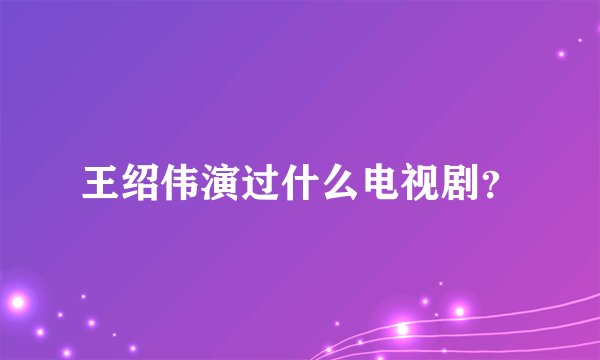 王绍伟演过什么电视剧?