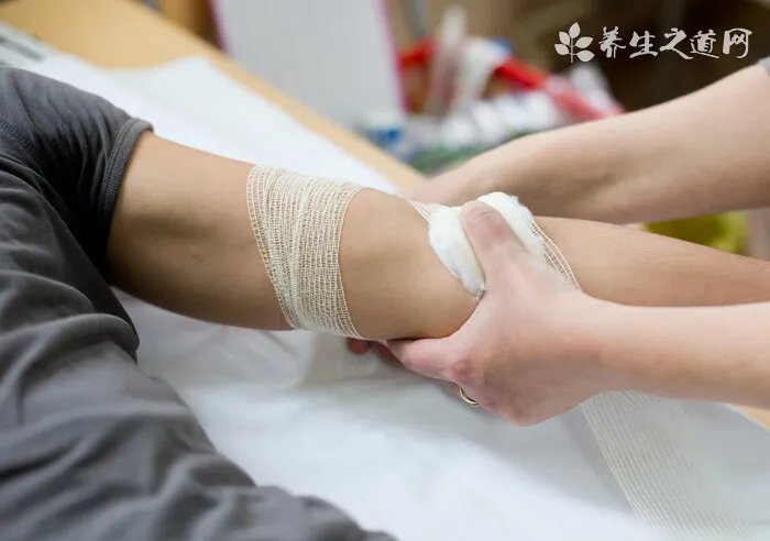 南极大冒险是什么狗 八只不同性格的狗狗