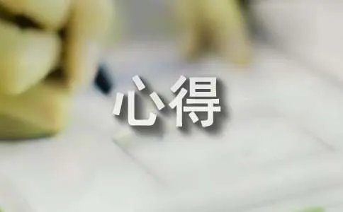 我的期市心得