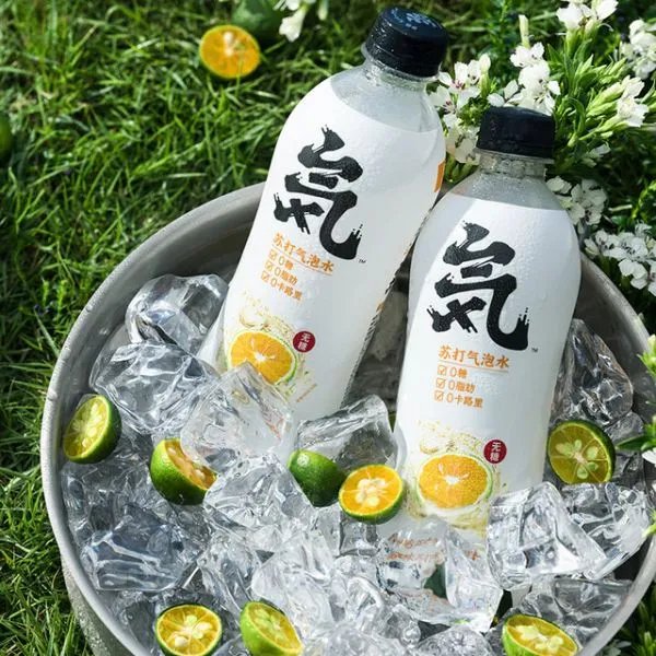 元气森林发公告恳请用户退款,事情的始末究竟是怎样的?