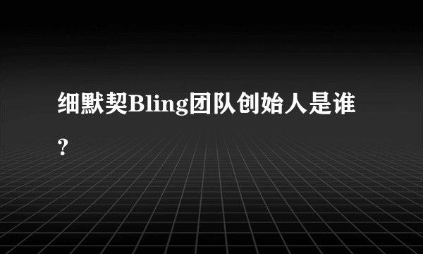细默契Bling团队创始人是谁？