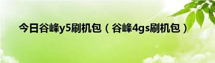 今日谷峰y5刷机包（谷峰4gs刷机包）