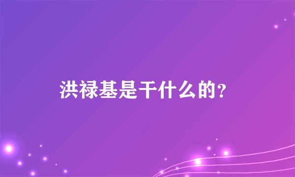 洪禄基是干什么的？
