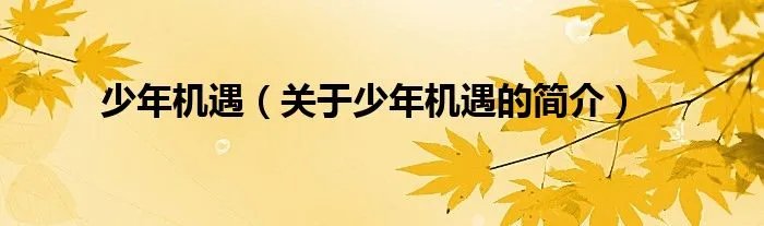 少年机遇（关于少年机遇的简介）