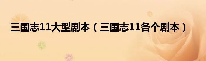 三国志11大型剧本(三国志11各个剧本)