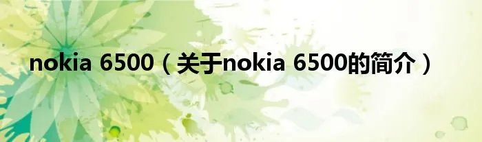 nokia 6500(关于nokia 6500的简介)