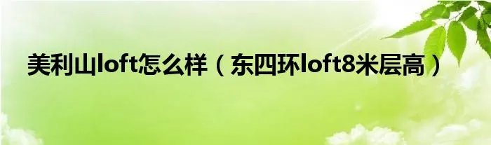 美利山loft怎么样（东四环loft8米层高）