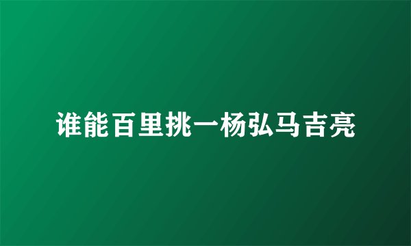 谁能百里挑一杨弘马吉亮