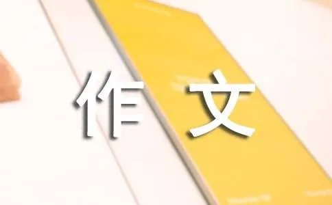 那是一次的尝试作文