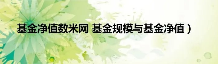 基金净值数米网 基金规模与基金净值）