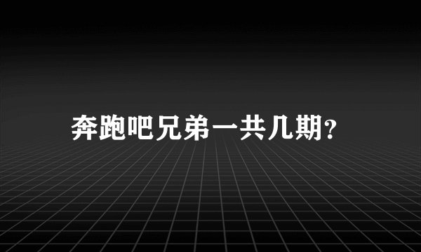 奔跑吧兄弟一共几期？