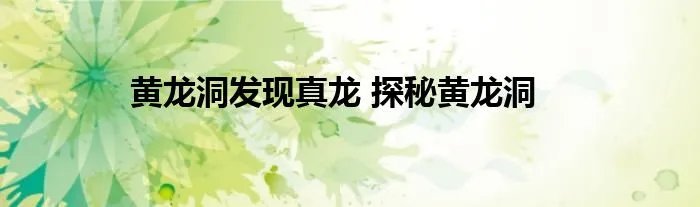 黄龙洞发现真龙 探秘黄龙洞