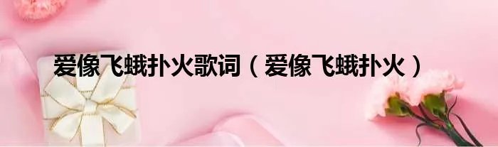爱像飞蛾扑火歌词（爱像飞蛾扑火）