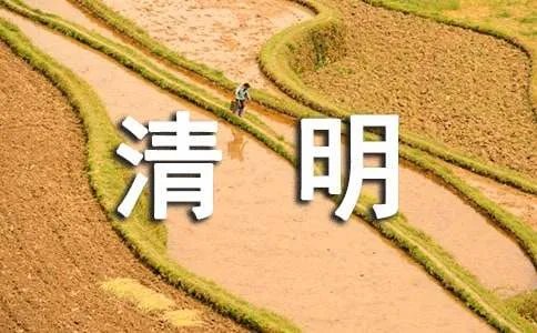 清明节扫墓活动方案