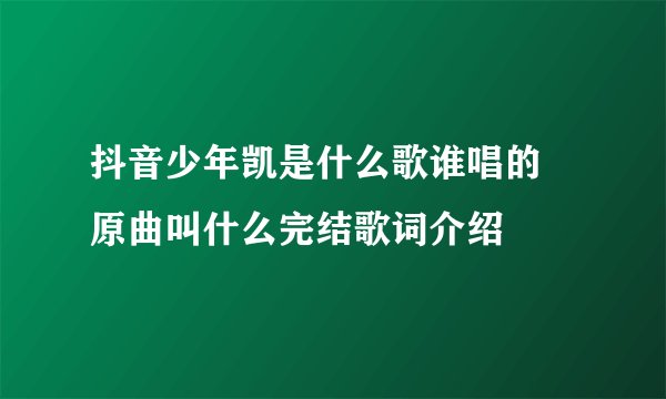 抖音少年凯是什么歌谁唱的 原曲叫什么完结歌词介绍