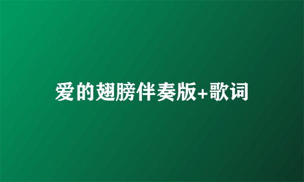 爱的翅膀伴奏版+歌词