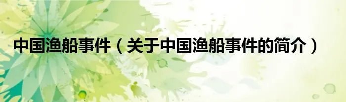 中国渔船事件（关于中国渔船事件的简介）