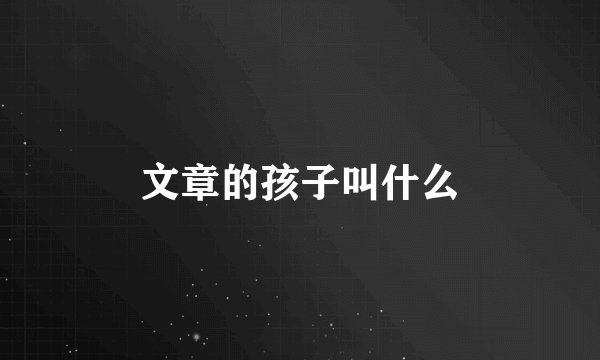 文章的孩子叫什么