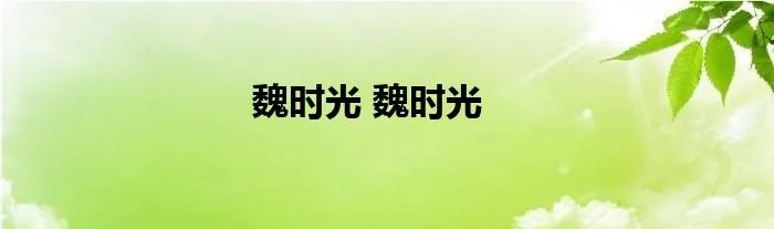 魏时光 魏时光