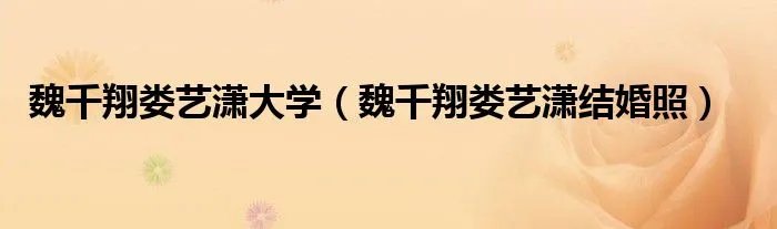 魏千翔娄艺潇大学(魏千翔娄艺潇结婚照)