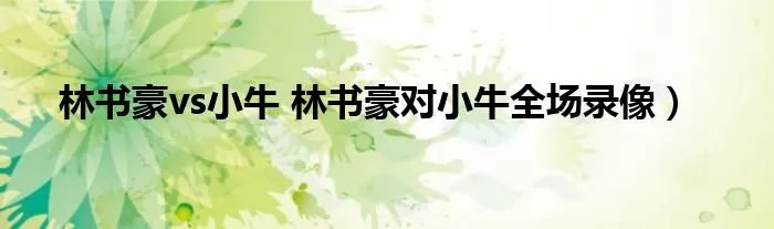 林书豪vs小牛 林书豪对小牛全场录像)