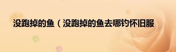 没跑掉的鱼（没跑掉的鱼去哪钓怀旧服