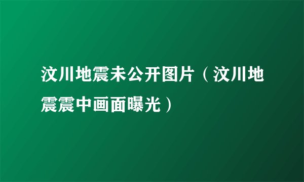 汶川地震未公开图片（汶川地震震中画面曝光）