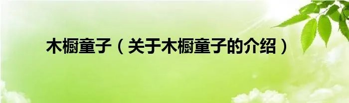 木橱童子（关于木橱童子的介绍）