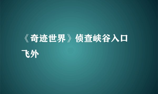 《奇迹世界》侦查峡谷入口–飞外