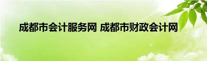 成都市会计服务网 成都市财政会计网