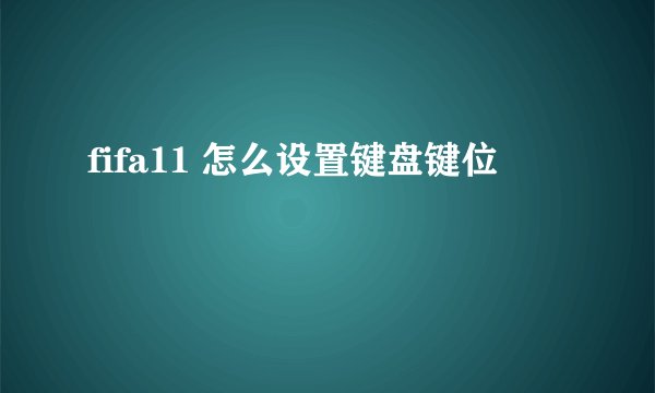 fifa11 怎么设置键盘键位