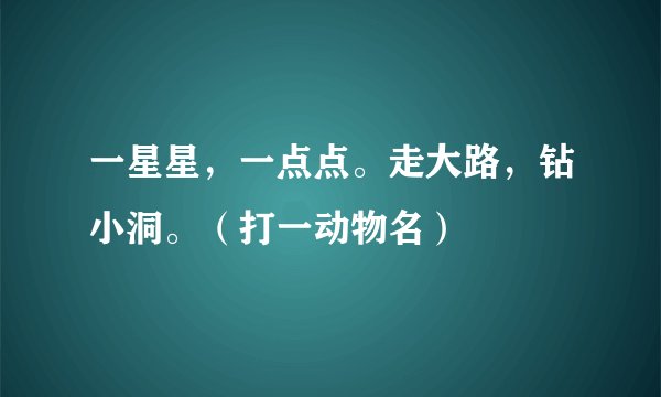 一星星，一点点。走大路，钻小洞。（打一动物名）