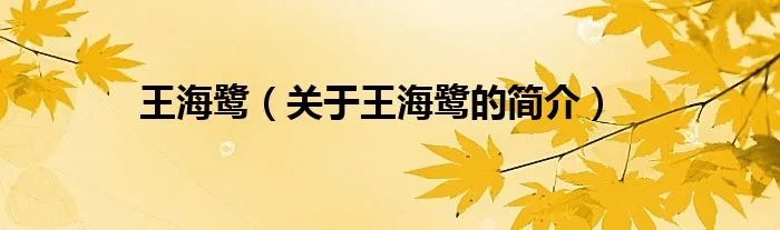 王海鹭（关于王海鹭的简介）