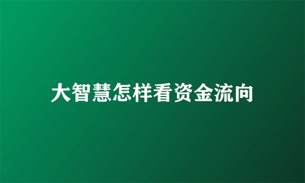 大智慧怎样看资金流向