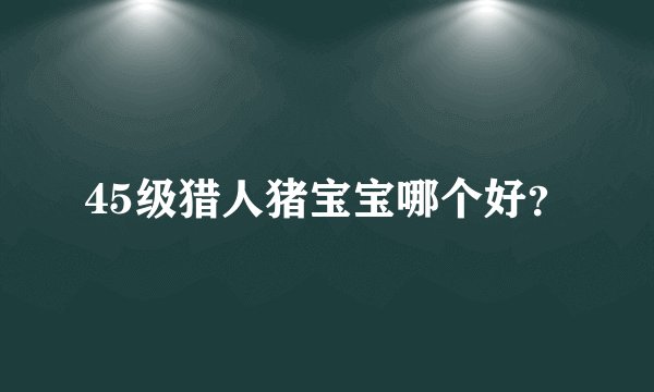 45级猎人猪宝宝哪个好?