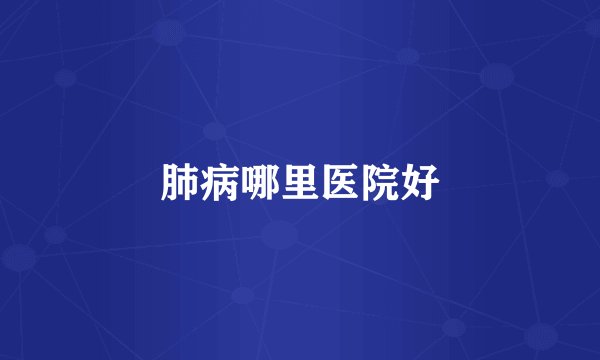 肺病哪里医院好