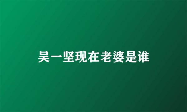 吴一坚现在老婆是谁