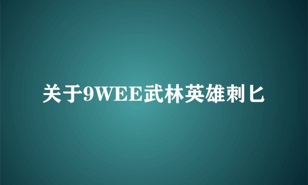 关于9WEE武林英雄刺匕