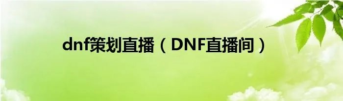 dnf策划直播（DNF直播间）