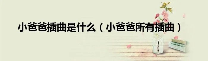 小爸爸插曲是什么（小爸爸所有插曲）