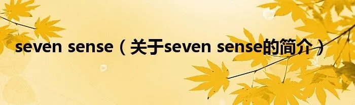 seven sense（关于seven sense的简介）