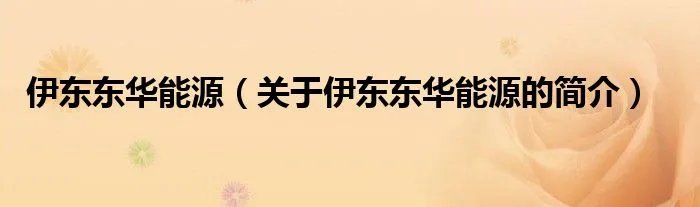 伊东东华能源（关于伊东东华能源的简介）
