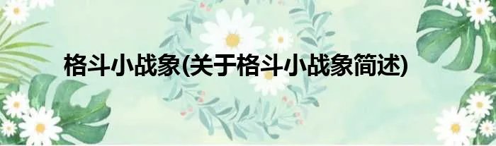 格斗小战象(关于格斗小战象简述)