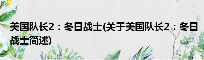美国队长2：冬日战士(关于美国队长2：冬日战士简述)