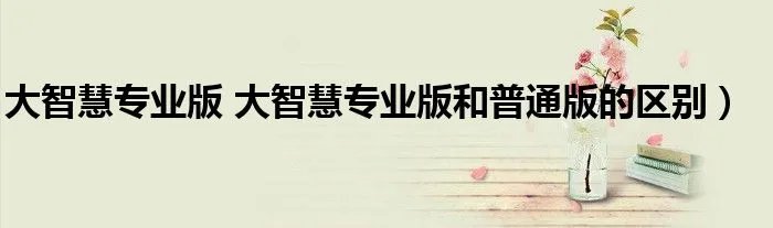 大智慧专业版 大智慧专业版和普通版的区别)