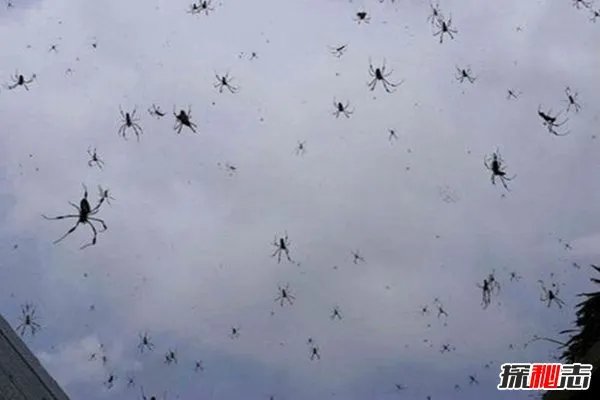 妖精现象是什么？盘点世界上最奇特的20个自然现象