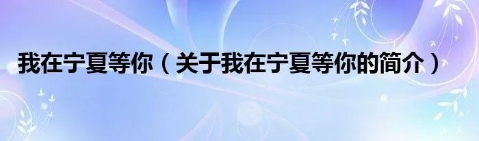 我在宁夏等你（关于我在宁夏等你的简介）